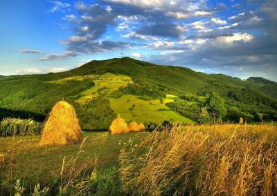 Экскурсии, Белград, Сербия, Гид